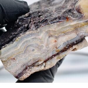 Laguna Crazy Lace Agate Quartz Natural Rough Crystal Mineral Mexico 7.25oz z